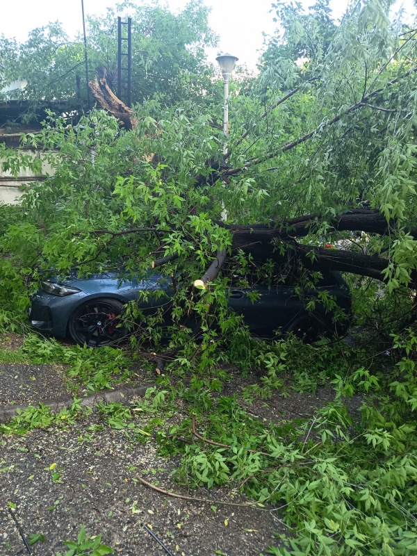 FOTO. Vijelia a cauzat pagube în regiunea de Nord Est. Probleme la Iași și Vaslui 3 FOTO. Vijelia a cauzat pagube în regiunea de Nord Est. Probleme la Iași și Vaslui