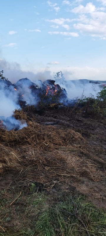 Botoșani. Muncă de Sisif pentru pompieri la un incendiu produs la o stână din Cristești 1 Botoșani. Muncă de Sisif pentru pompieri la un incendiu produs la o stână din Cristești