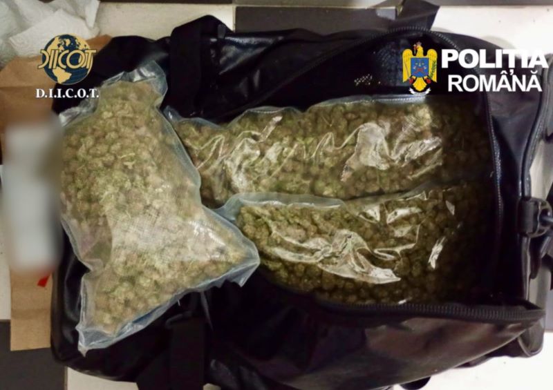 FOTO. Bacău. Percheziții într-un dosar cu acuze de trafic internațional de droguri – s-au găsit 1,5 kilograme de canabis