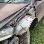 Percheziții la braconieri în Botoșani: carne de vânat, mașină modificată și dispozitive cu termo-viziune, ridicate de polițiști