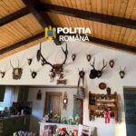 Suceava. 38 de percheziții într-un dosar de braconaj cinegetic – au fost confiscate 11 arme și sute de cartușe