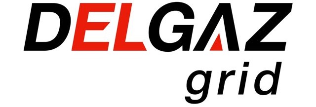 Factura la gaze naturale scade de la 1 iulie. Delgaz Grid, printre operatorii cu tarife mai mici la distribuție 1 Delgaz