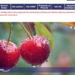 Atenție. Posibile întârzieri în accesarea serviciilor electronice ale Fiscului