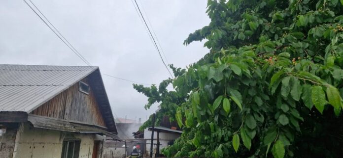 WhatsApp Image 2026-06-02 at 13.33.34 (1)