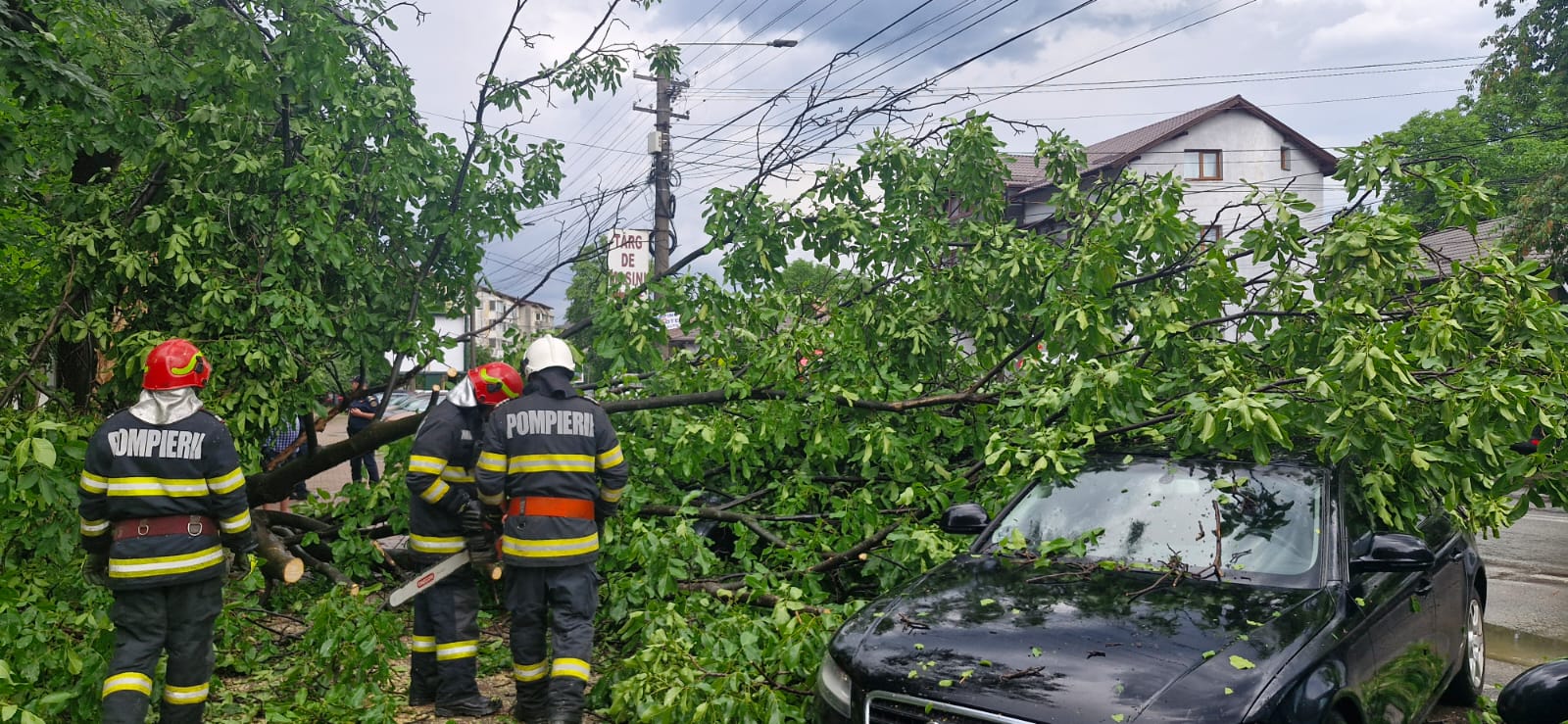 Noi avertizări meteo de vânt și ploi în regiunea Nord Est