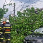 Copaci căzuți în Piatra Neamț în urma furtunii