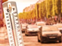 În atenția conducătorilor auto. Restricții de tonaj din cauza codului roșu de temperaturi extreme – care sunt transporturile exceptate