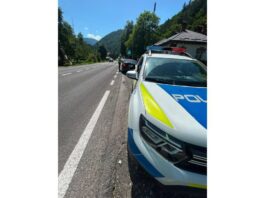 FOTO. Razie a polițiștilor pe DN 15. Ce au descoperit cadrele de la Serviciul Rutier