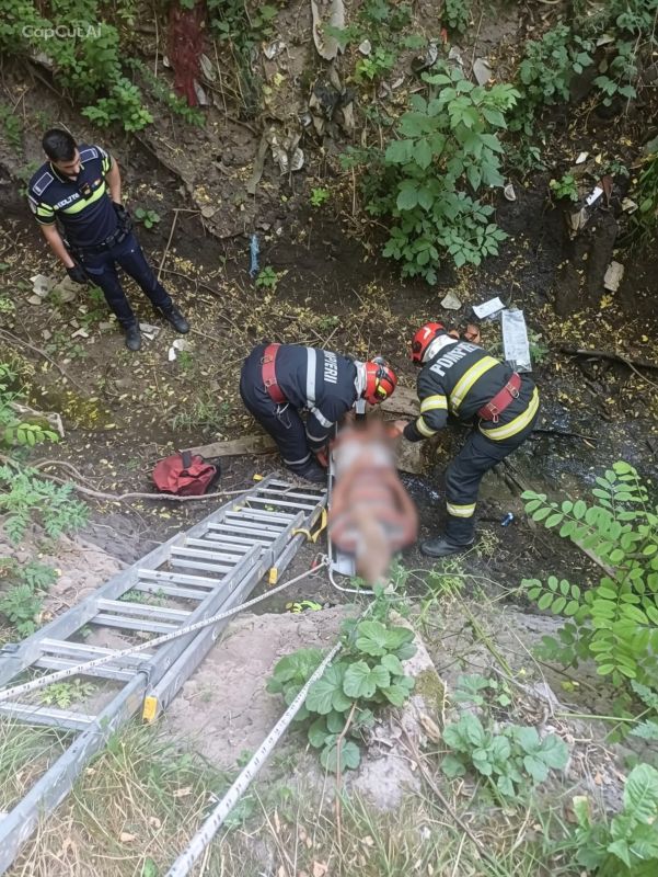 Iași. Bărbat salvat de pompieri după ce a căzut într-o râpă