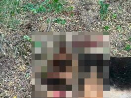 Știre actualizată. FOTO. Anchetă după apariția unor imagini șocante cu un câine ucis în bătaie într-o pădure din Botoșani