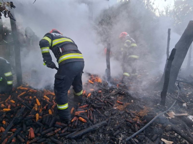 Botoșani. Focul a făcut prăpăd într-o gospodărie – peste 100 de animale au murit carbonizate 1 Botoșani. Focul a făcut prăpăd într-o gospodărie – peste 100 de animale au murit carbonizate