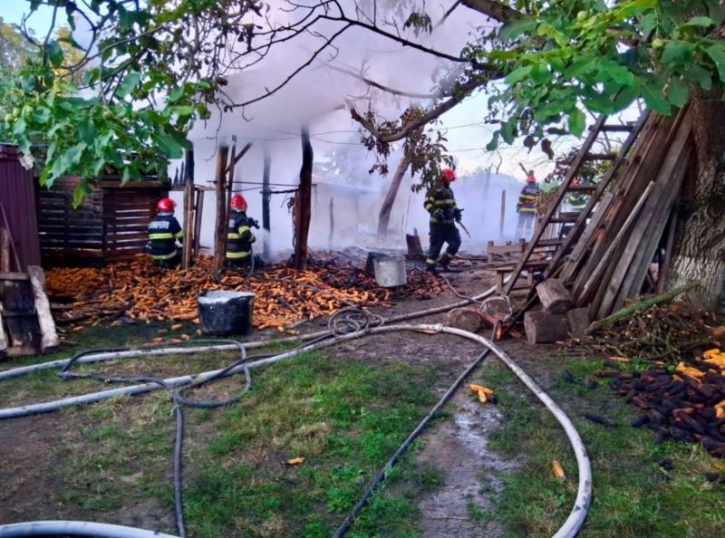 Botoșani. Focul a făcut prăpăd într-o gospodărie – peste 100 de animale au murit carbonizate 5 Botoșani. Focul a făcut prăpăd într-o gospodărie – peste 100 de animale au murit carbonizate