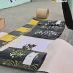 VIDEO. Bărbat prins în flagrant la Răucești cu droguri de mare risc aduse din Slovacia. Canabis ascuns și sub o movilă de gunoaie