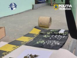 VIDEO. Bărbat prins în flagrant la Răucești cu droguri de mare risc aduse din Slovacia. Canabis ascuns și sub o movilă de gunoaie
