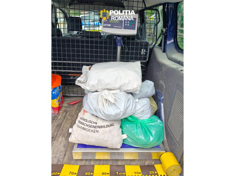 Amenzi și controale în Neamț. Trufe negre de aproape 8000 de lei, confiscate de polițiști
