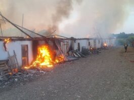 Suceava. Incendiu devastator la o fermă. Peste 1000 de animale au murit în flăcări