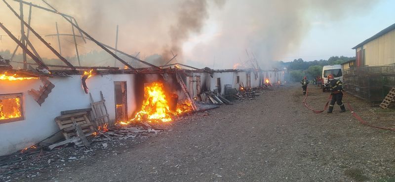 Suceava. Incendiu devastator la o fermă. Peste 1000 de animale au murit în flăcări