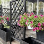 Top 12 idei pentru organizarea florilor pe terasă