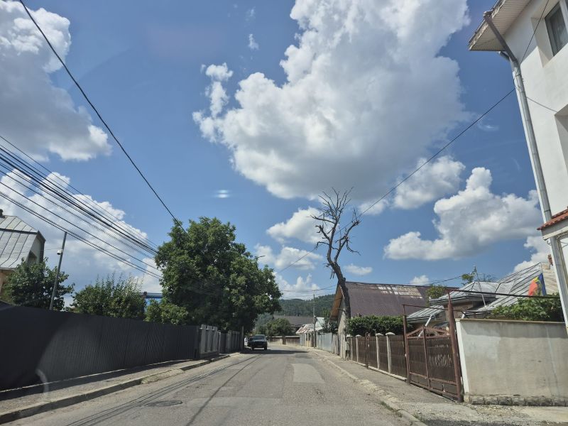 Scene de luptă într-un taxi la Târgu-Neamț 1 Scene de luptă într-un taxi la Târgu-Neamț