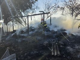 Botoșani. Incendiu la un adăpost de animale – 8 capre au murit carbonizate