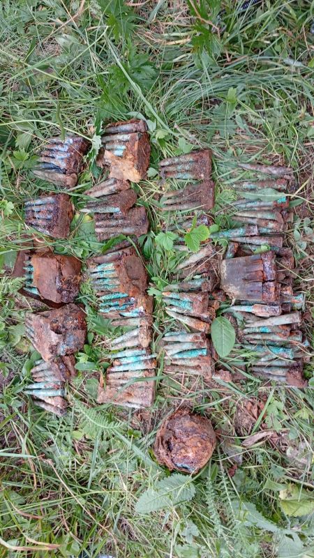 Neamț. Muniție descoperită în pădurea din Bicazu Ardelean