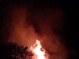 Bacău. Incendiu la un depozit de material lemnos
