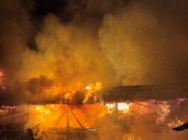 Incendiu la Târgu-Neamț: cinci capre și 20 de păsări au pierit într-o gospodărie