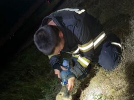 Câine salvat dintr-o fântână la Răucești