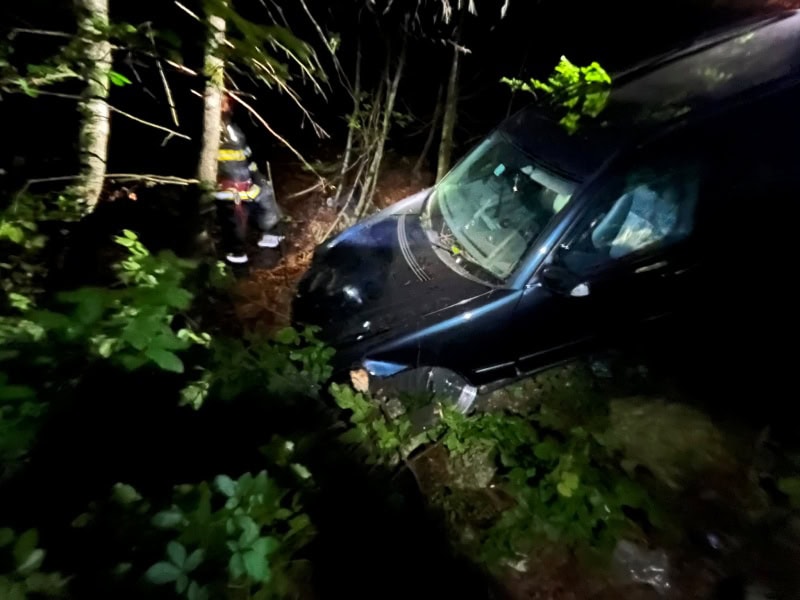 FOTO. Accident la Petru Vodă. Mașină proiectată în pădure, găsită abandonată. Șoferul a dispărut de la locul accidentului