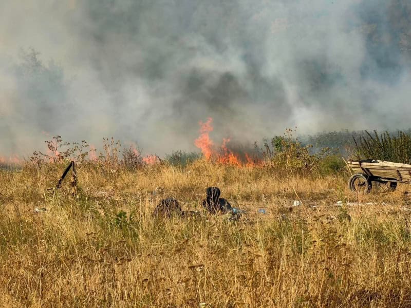 VIDEO-FOTO. Se întâmplă acum! Incendiu de vegetație uscată la Vânători Neamț