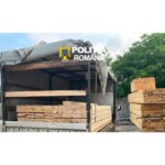 Aproape 47 de metri cubi de lemn, confiscați de polițiștii nemțeni