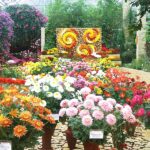 Iași. 170 de ani de la înființarea Grădinii Botanice – pe 10 august intrarea este liberă