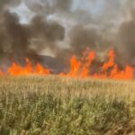 Bacău. Peste 80 de hectare de vegetație uscată au ars în comuna Orbeni – intervenția a durat mai bine de 7 ore
