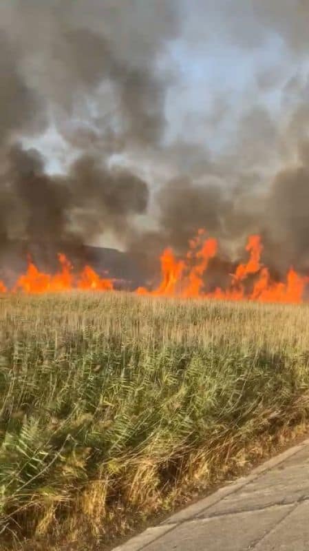 Bacău. Peste 80 de hectare de vegetație uscată au ars în comuna Orbeni – intervenția a durat mai bine de 7 ore