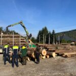 Neamț. Sancțiuni de 16.000 de lei și 9,5 m³ de material lemnos confiscat de polițiștii din Bicaz, Borca, Bicaz-Chei, Tarcău și Poiana Teiului