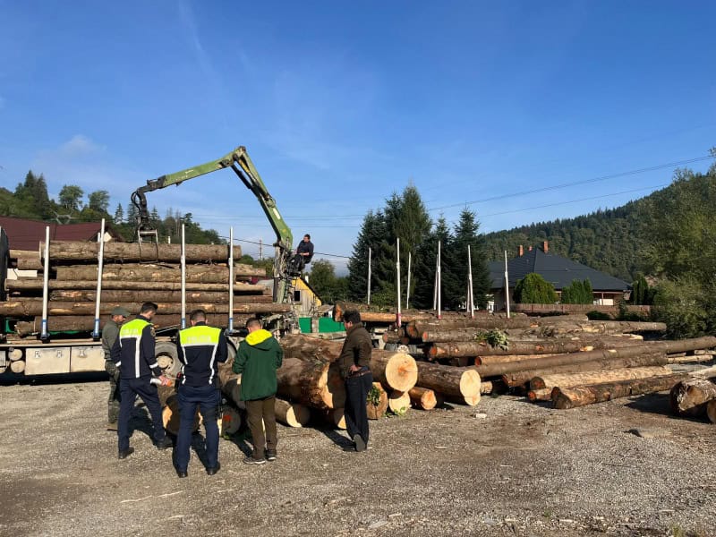 Neamț. Sancțiuni de 16.000 de lei și 9,5 m³ de material lemnos confiscat de polițiștii din Bicaz, Borca, Bicaz-Chei, Tarcău și Poiana Teiului
