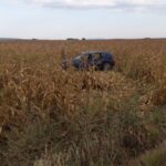 A încercat să evite un câine și s-a răsturnat cu mașina într-un lan de porumb