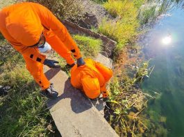 Suceava. Exercițiul CROSSFLOOD FSX a intrat în faza operațională