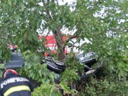 Vaslui. Accident la intrarea în localitatea Ivești – un șofer a intrat cu mașina într-un copac