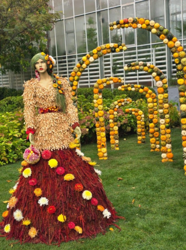 Screenshot 2026-10-31 132609 Iași. Culoare, varietate și măiestrie la Grădina Botanică – expoziția „Flori de toamnă” și-a deschis porțile