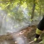 Bacău. Video-Foto. O săptămână de luptă cu focul în pădurea Cucuieți, Dofteana