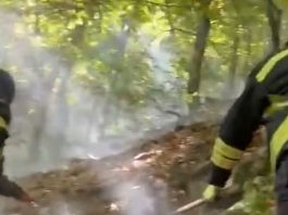 Bacău. Video-Foto. O săptămână de luptă cu focul în pădurea Cucuieți, Dofteana