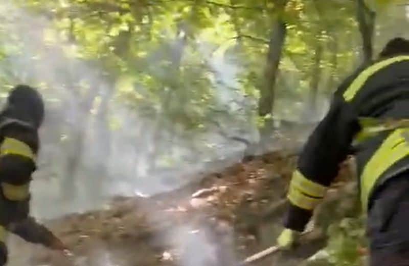 Bacău. Video-Foto. O săptămână de luptă cu focul în pădurea Cucuieți, Dofteana