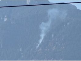 VIDEO. Incendiu în muntele Ceahlău