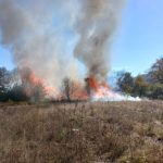 Incendiu în comuna Tazlău – o locuință și două anexe s-au făcut scrum de la un scurtcircuit