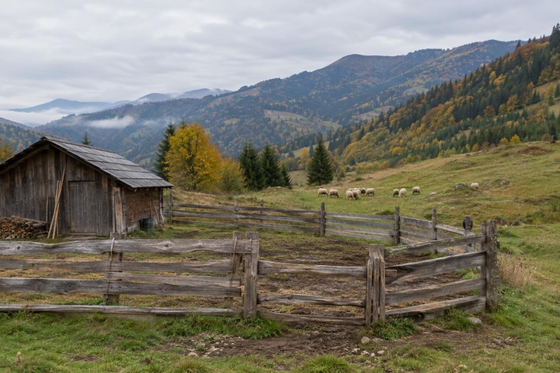 Anchetă după moartea unui îngrijitor de animale la Bicaz-Chei