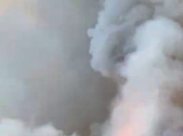 FOTO. Incendiu la parterul unui bloc din Roman – cauza nu a fost stabilită