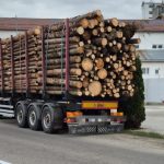 FOTO. Amendă de 4.000 de lei și aproape 5 m.c. de lemn confiscat de polițiști la Dumbrava Roșie