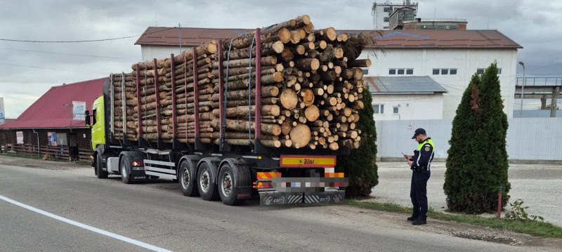 FOTO. Amendă de 4.000 de lei și aproape 5 m.c. de lemn confiscat de polițiști la Dumbrava Roșie