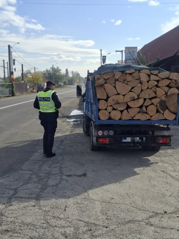 FOTO. Amendă de 4.000 de lei și aproape 5 m.c. de lemn confiscat de polițiști la Dumbrava Roșie FOTO. Amendă de 4.000 de lei și aproape 5 m.c. de lemn confiscat de polițiști la Dumbrava Roșie
